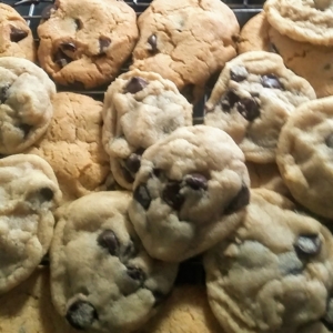 chocolate chip cookie